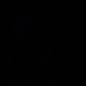 Meet your Posher, Yarianny